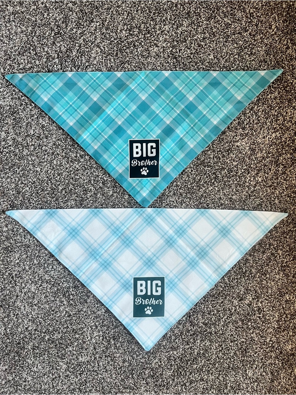 Big Brother Blue Plaid Dog Bandana Set